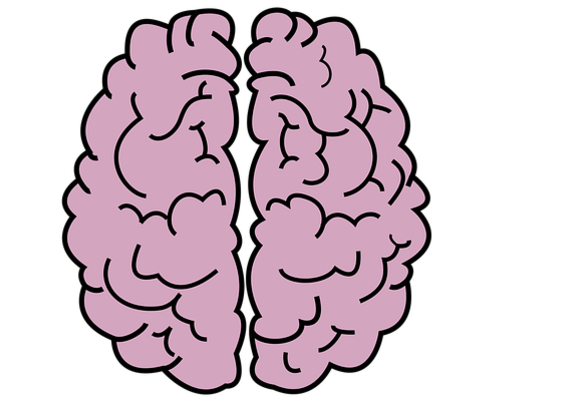 Brain 2970173 640