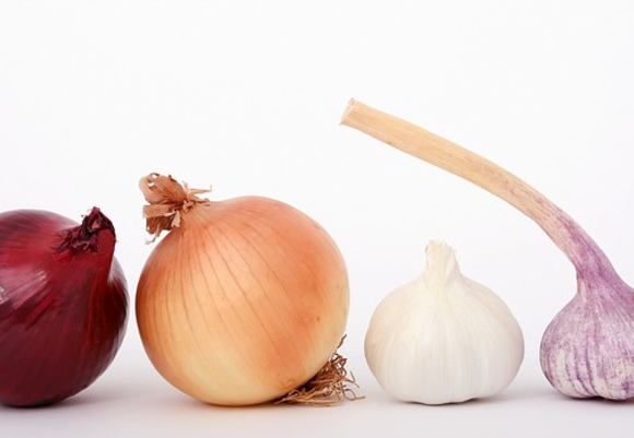 Bulb 1239423 640