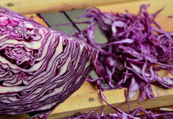 Red cabbage 1931731 640