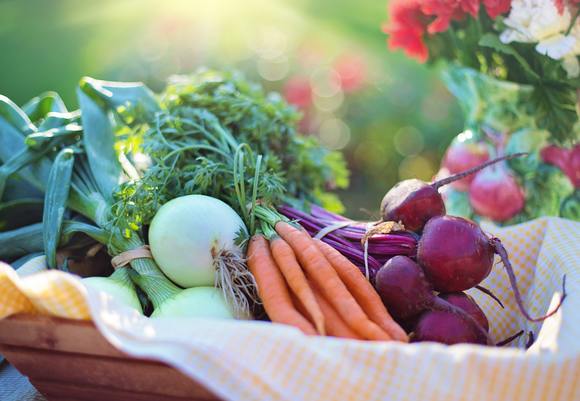 Agriculture basket beets 533360