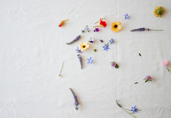 Eetbare bloemen 2
