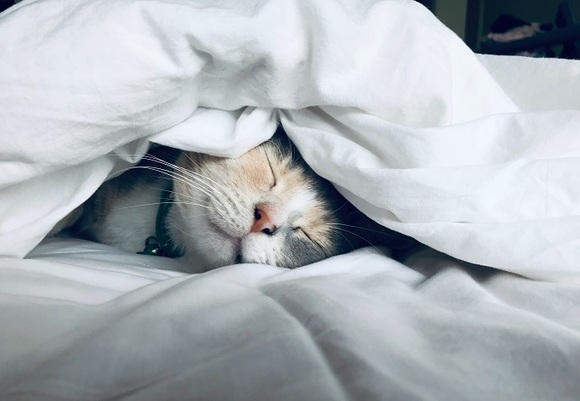 Kate stone matheson uy5t cjuik4 unsplash