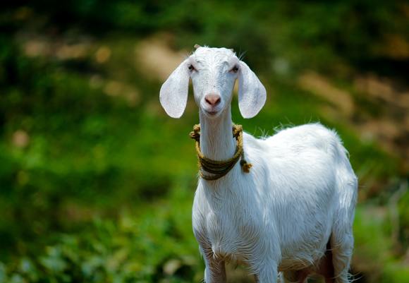 Nandhu kumar jamcubstvwe unsplash